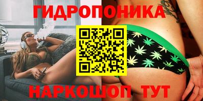 стаф Вышний Волочёк
